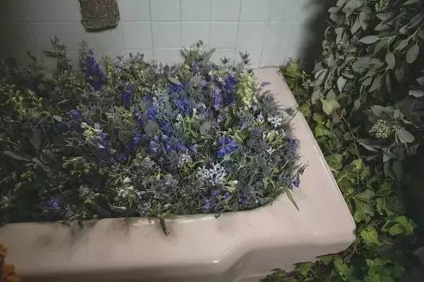 破败的房子重新焕发生机,原本破旧的房子变得焕然一新