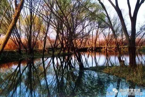 扬州农家乐游玩攻略,扬州十大最美农家乐