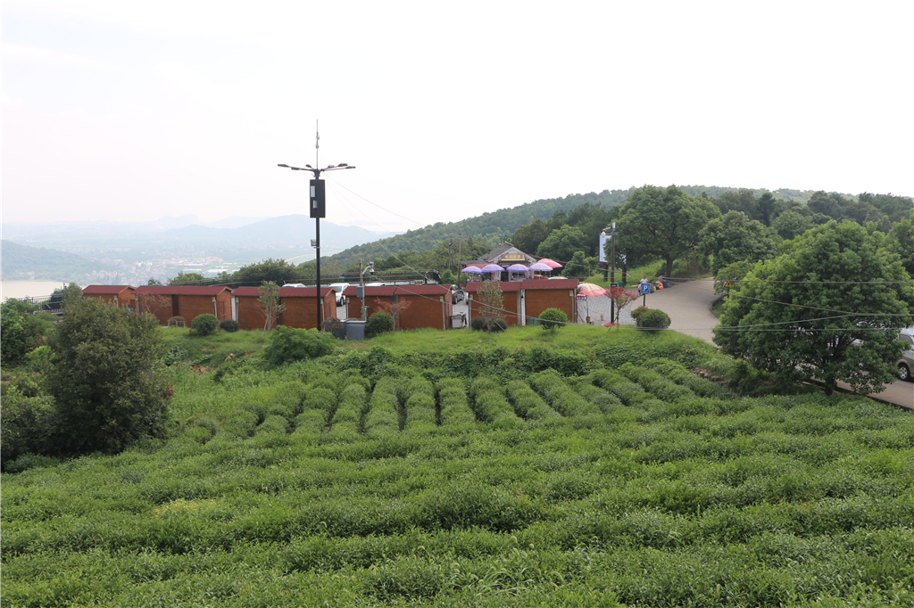 品农家菜肴田园生活,嘉兴南北湖农家乐推荐