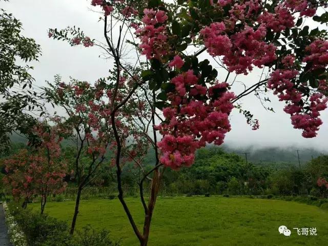 距离成都3个小时的秘境,距离成都8小时以内的景区