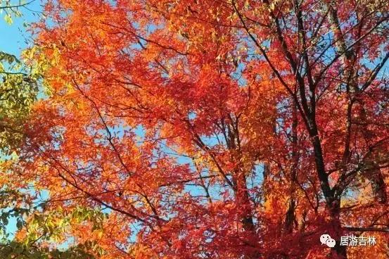 居游大事｜金秋套票正式发售啦！这次两个套票任你选！