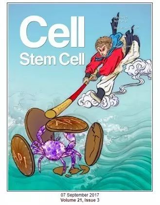 治疗白血病新技术,中国治疗癌症和白血病专家新突破