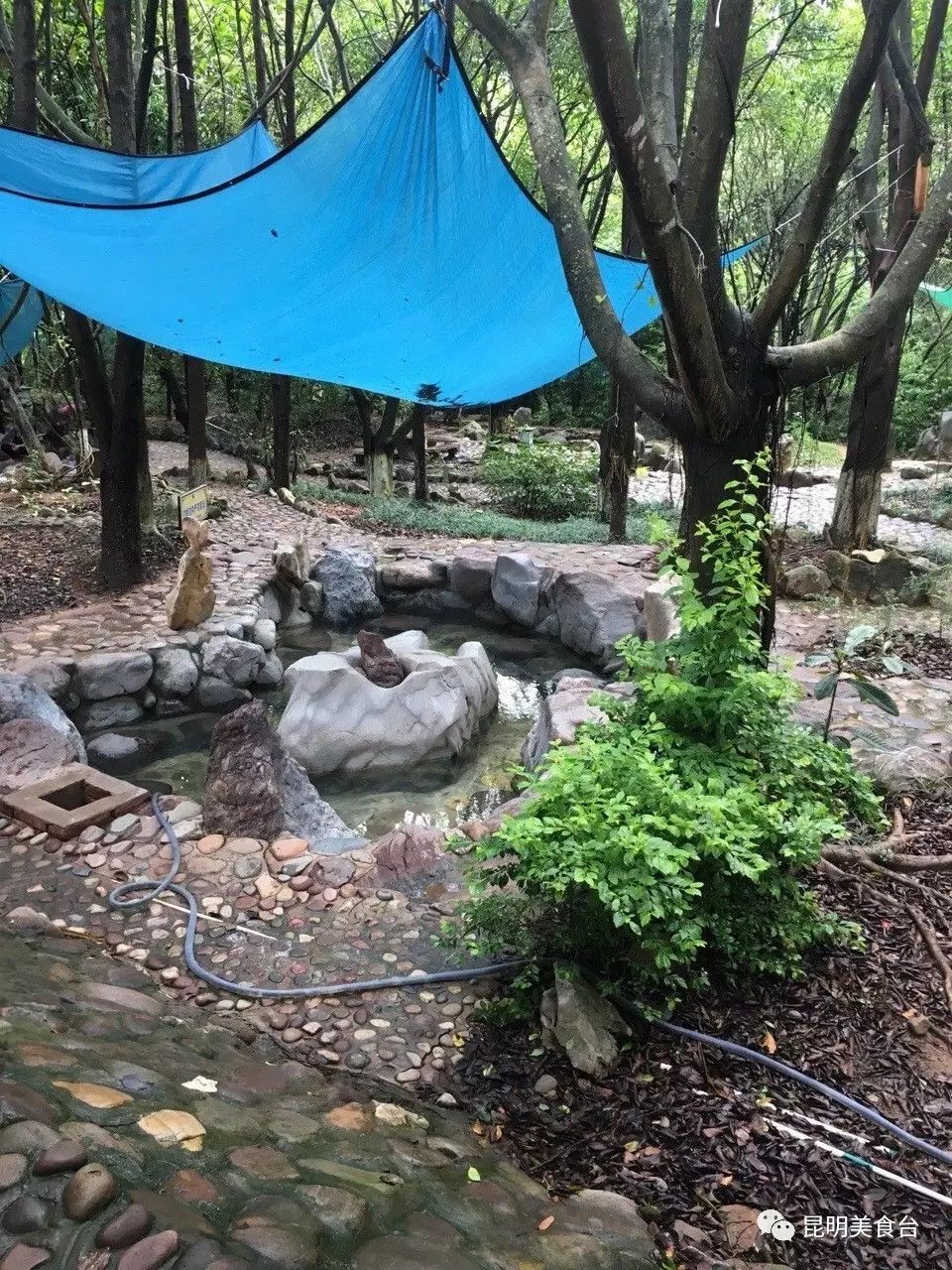 云南最神秘的六个野温泉，峡谷弥漫雾气小鱼咬脚，车底盘常常被刮