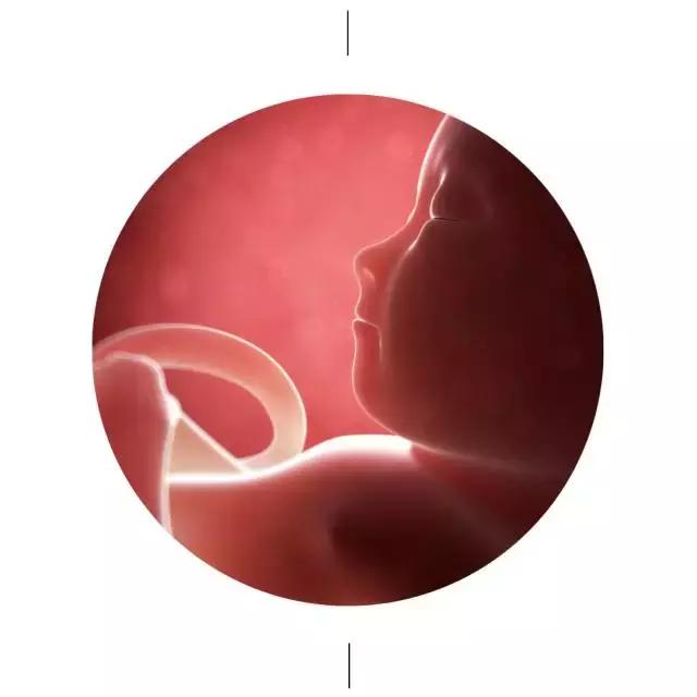 分手后怀孕了？这位学佛妈妈给女儿写了这样一封信