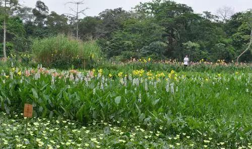 上海地铁直达的好玩的地方,上海坐地铁就能去的景点