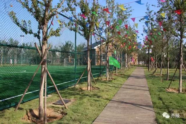 蹴鞠体育节开幕式,齐文化博物院蹴鞠表演队