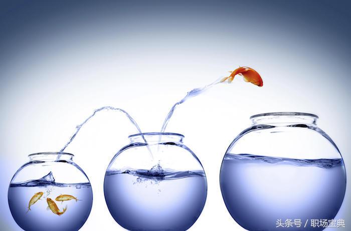 遇到极品经理该怎么把他弄走,遇到极品男人怎么处理