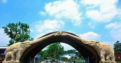 上海地铁直达花海,上海地铁9号线景点