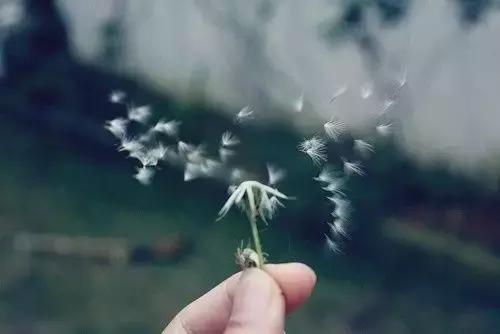 这样发朋友圈的人值得你去珍惜,请珍惜发朋友圈的人