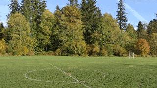 我敢打赌,iphonex烂大街吗