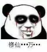 熬夜看iphone14发布会,熬夜看苹果13发布会