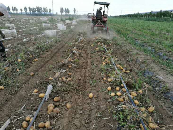 山东清田地膜,清田地膜