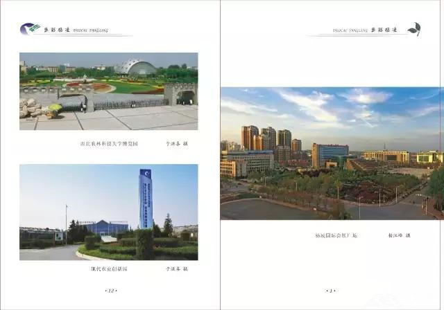 杨凌和杨陵什么关系,杨凌高凤香老师