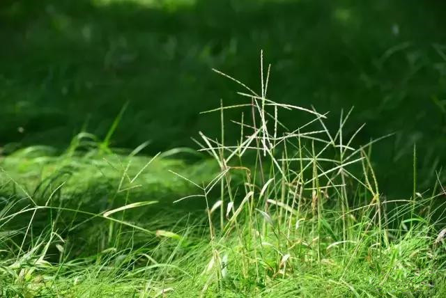 杨凌和杨陵什么关系,杨凌高凤香老师