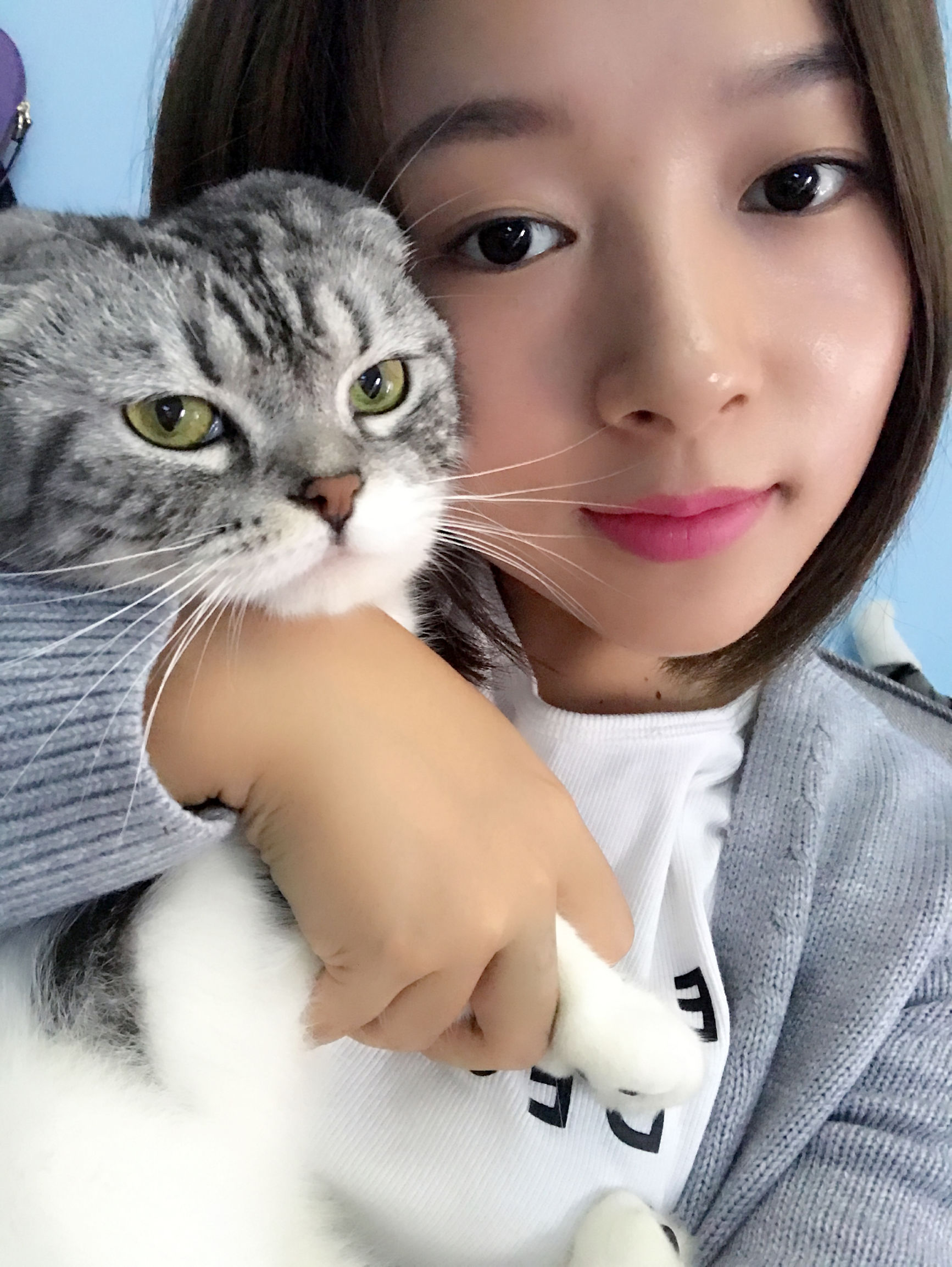 怀孕和养猫可否兼得?