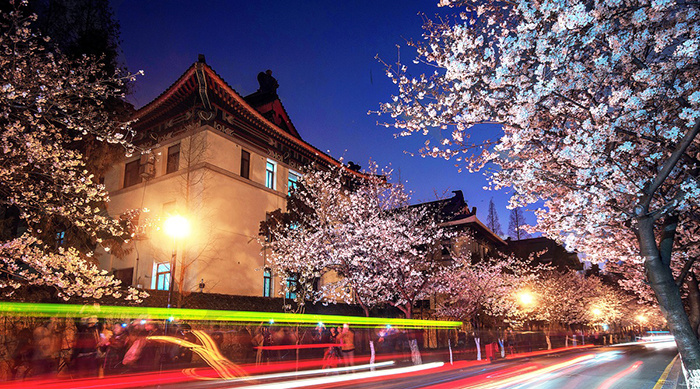 英国留学机构公司有哪些,英国留学中介收费标准