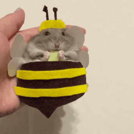 一只萌萌的吃货仓鼠,在角色扮演,还不忘记爪子里的好吃的