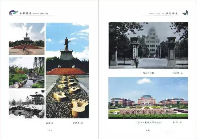 杨凌蘸水面高凤香,杨陵杨凌