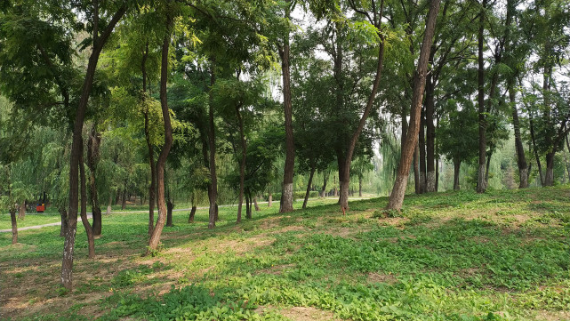 18比9全面屏手机排名,小米mix2全面屏