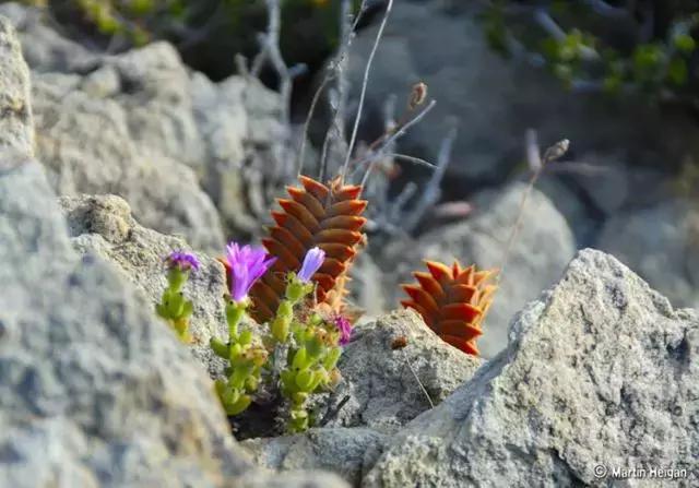 南非秘宝,遗落在世间的宝藏