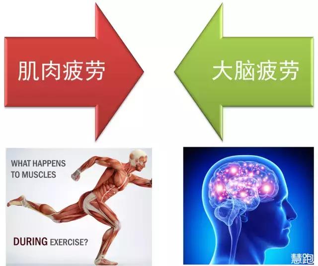 马拉松前面跑得太快能缓过来吗,马拉松中途停下后再跑很吃力