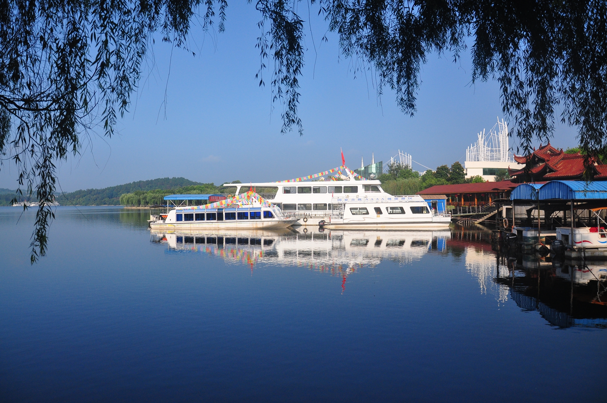 2023年9月5日新股申购建议分析,2023年9月4日新股申购值得吗