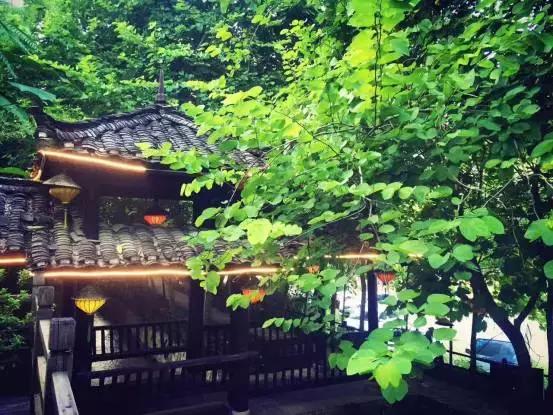 我们在原乡,垂钓一尾活着的暖光|我的原乡与旅郡