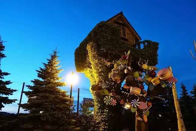 日本夏天治愈系风景北海道,夏天日本北海道之旅