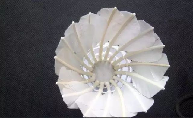 从*片毛**、球头、胶水和工艺,来判断羽毛球的质量,是最可靠的方法