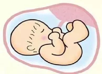 生娃是侧切好还是撕裂好,想要生娃要做什么