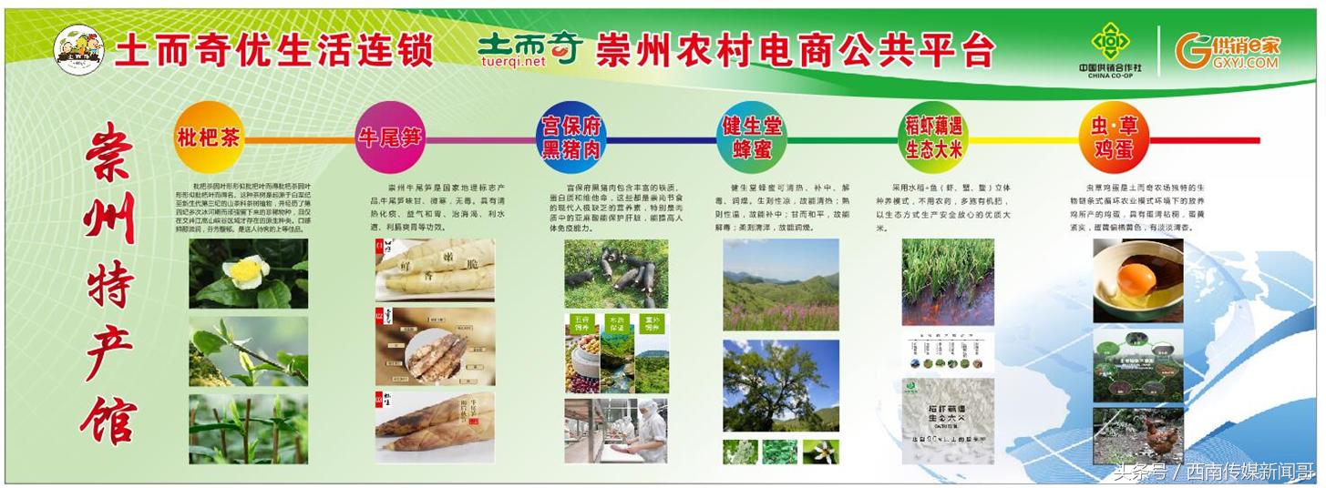 杭州森雅农业电商平台,打造互联网农业电商平台