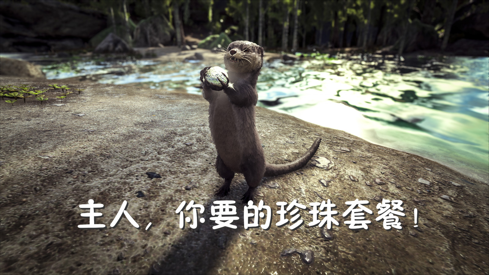 这可能是世界上最野的抓猛兽指南了，动物园的驯兽师看完全跪了！