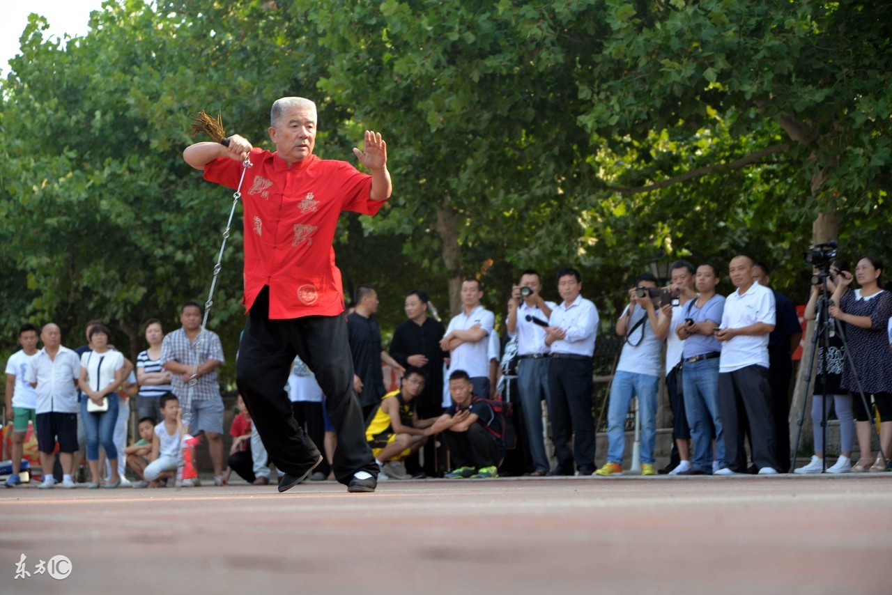 中国武术九连鞭,武术传统器械九节鞭动作方法