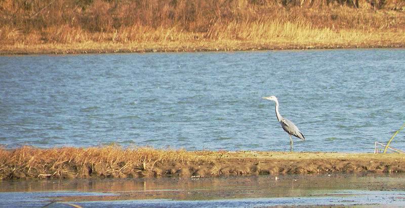 山西最出美女的地方,山西的美女有多好