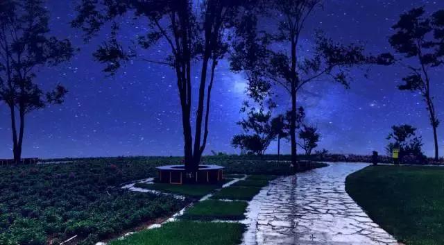 金石滩湿地公园,金石滩黄金海岸美丽景观