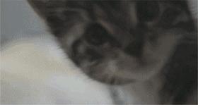 当科比遇到梅西,科比和梅西你会选择谁