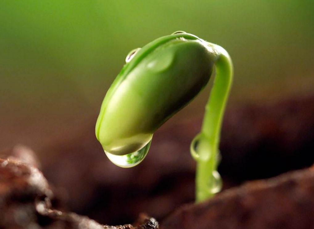 被人欺负该如何正确应对,对付被人欺负最好的方法