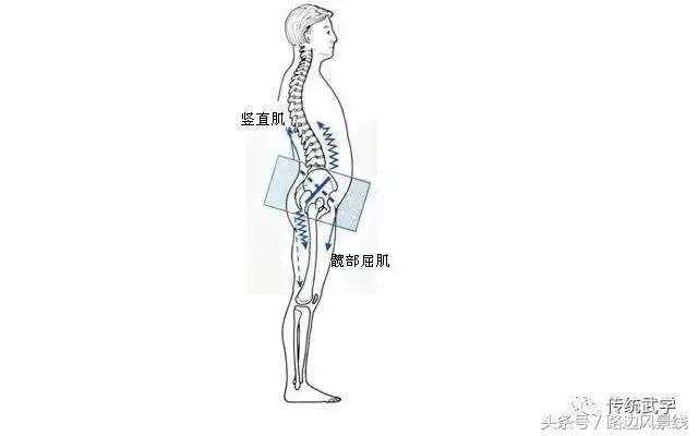 骨架平衡整脊术价目表,骨架平衡手法