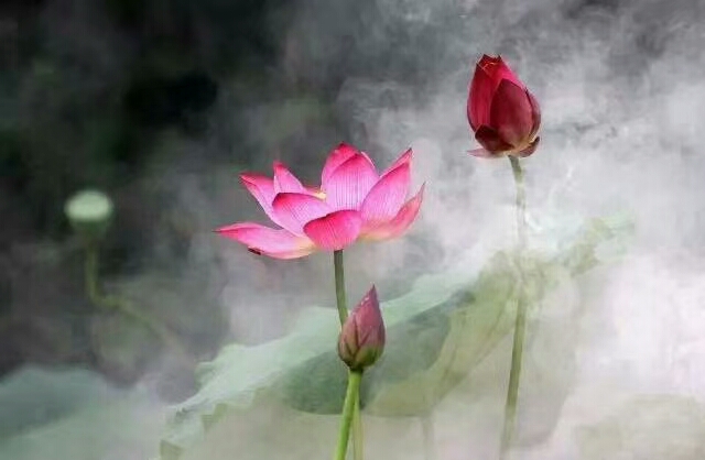 你身边有哪些高情商说话的人,你身边有诚实守信靠谱的人