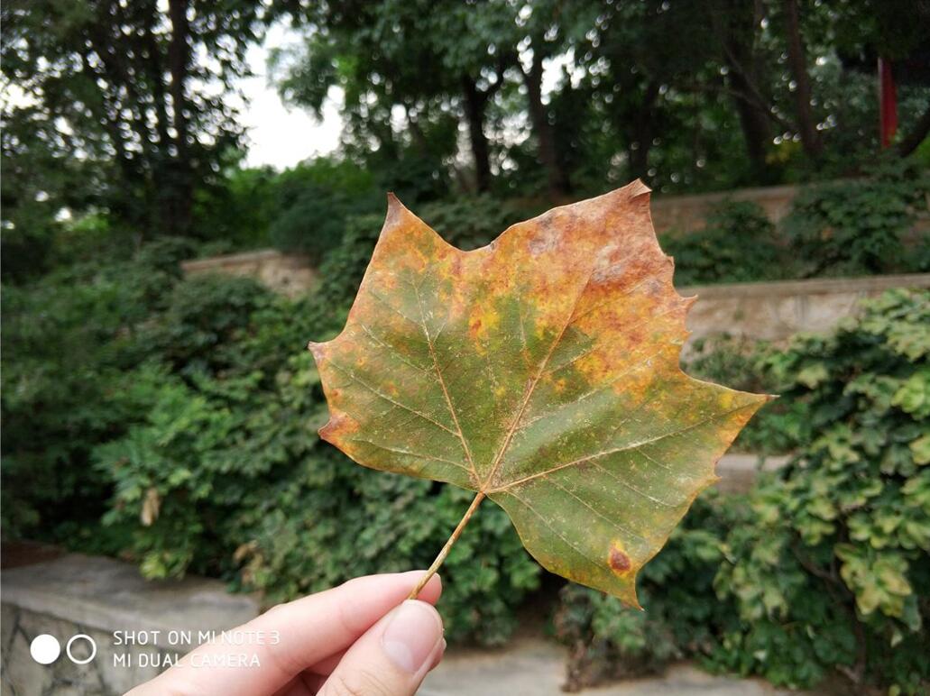 小米note3和小米6哪台更强,小米note3测评换屏幕