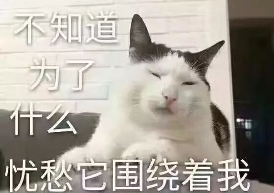 京东致歉事件后续,京东回应被罚2943万新闻