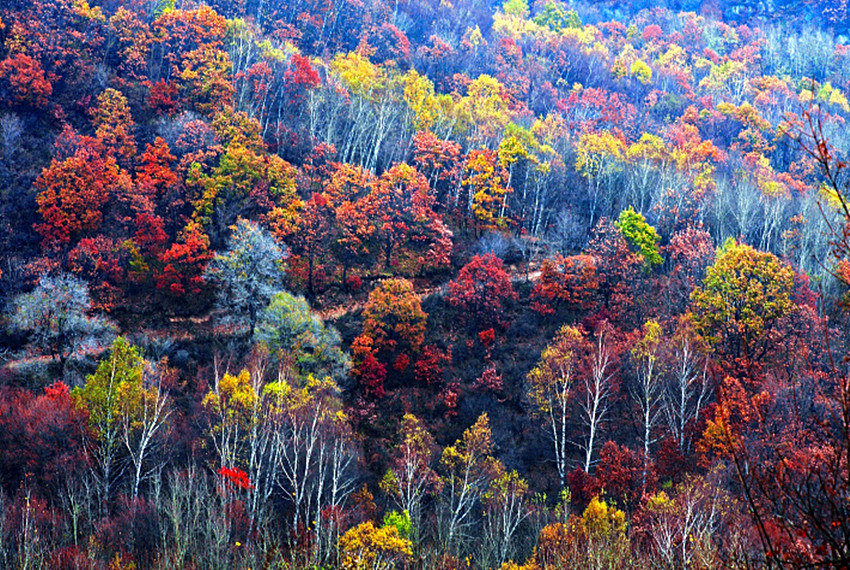 喇嘛沟景区游览攻略,北京喇叭沟旅游攻略