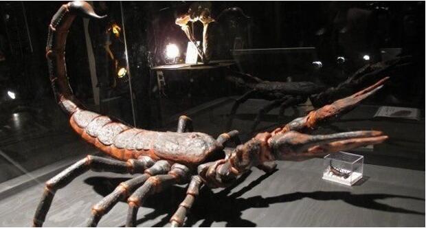 世界上曾经统治过地球的史前巨兽,地球上曾经存在的8大巨兽