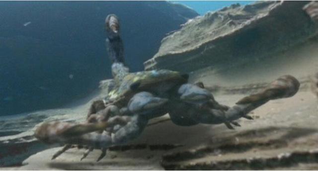 盘点地球真实存在的十大巨兽,地球上曾存在的八大巨兽