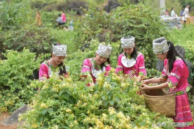 南宁十大最美农家乐推荐,南宁周边烧烤野炊前十排行