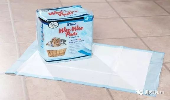 狗狗做绝育手术好还是不做绝育好,狗狗做了绝育手术还会来月经吗