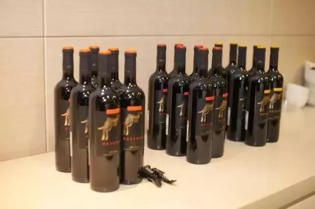 黄尾袋鼠澳洲进口赤霞珠,黄尾袋鼠限量版西拉干型