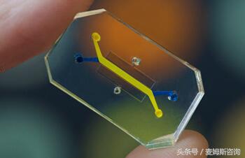 器官芯片技术,器官芯片