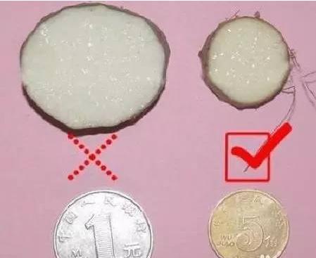 一根神奇的铁棍山药,每天吃一根铁棍山药好不好