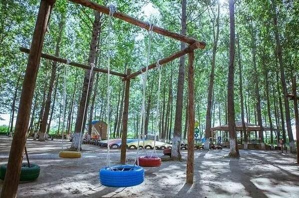 合肥瓜牛公园丛林探险,合肥瓜牛公园到底好不好玩